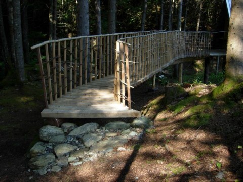 Bridge to Tiny Timber Cabin