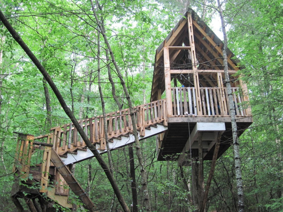 Tree House with Stairs