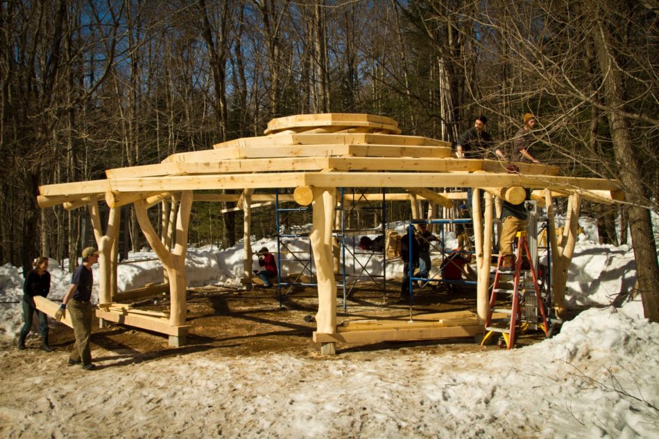 Worker bees help erect a timberframe reciprocating pavilion