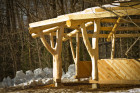 Sunlight undulates on forked hardwood trees in reciprocating pavilion