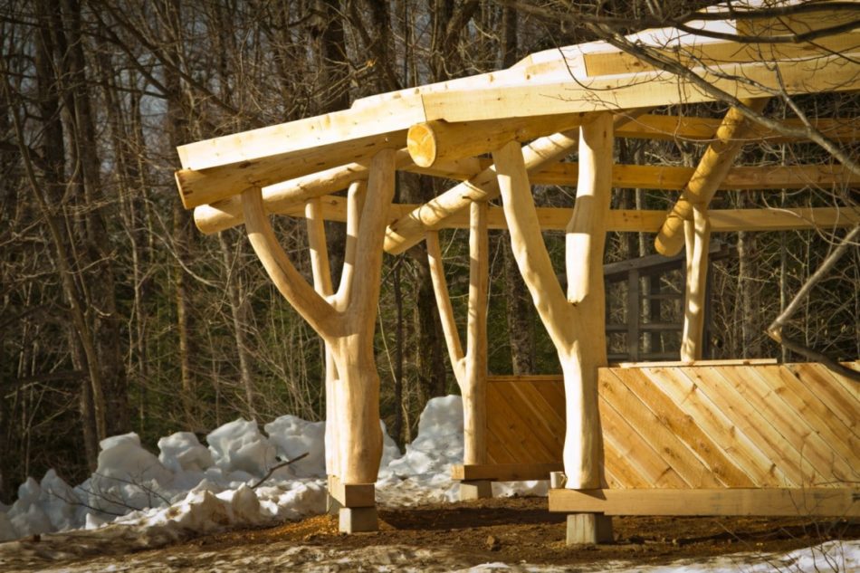 forked trees in a summer camp pavilion with reciprocal roof