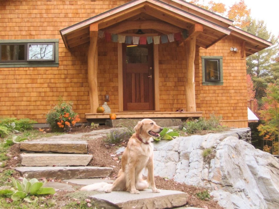 Golden Retriever and beautiful covered entry