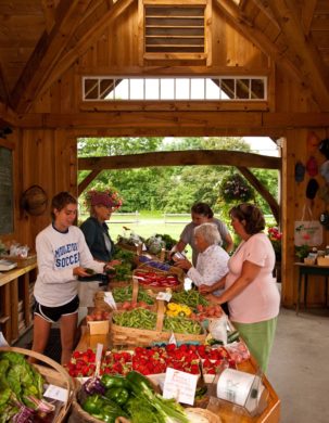 A long table and display area in a large farm stand is filled with fruit and veggies