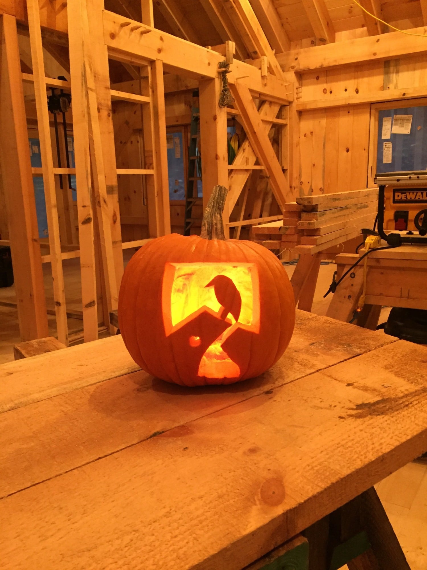 Lovely pumpkin carving of our bird symbol