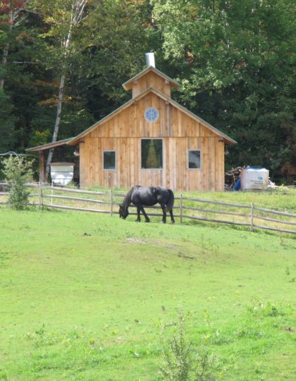 A horse grazes in pasture in front of a sugarhouse