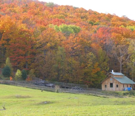 The brilliant fall colors are a backdrop for a spectacular sugarhouse