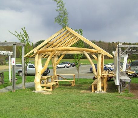 Farmers market pavilion with triple forked trees