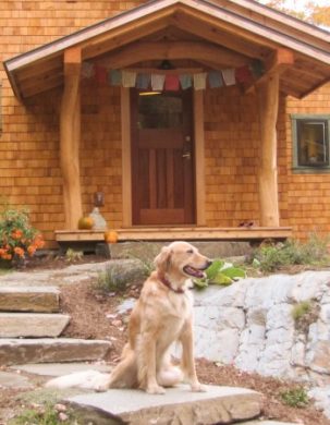 Golden retriever and covered entry