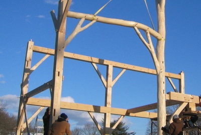 Forked trees are scribed to fit in the timber frame home