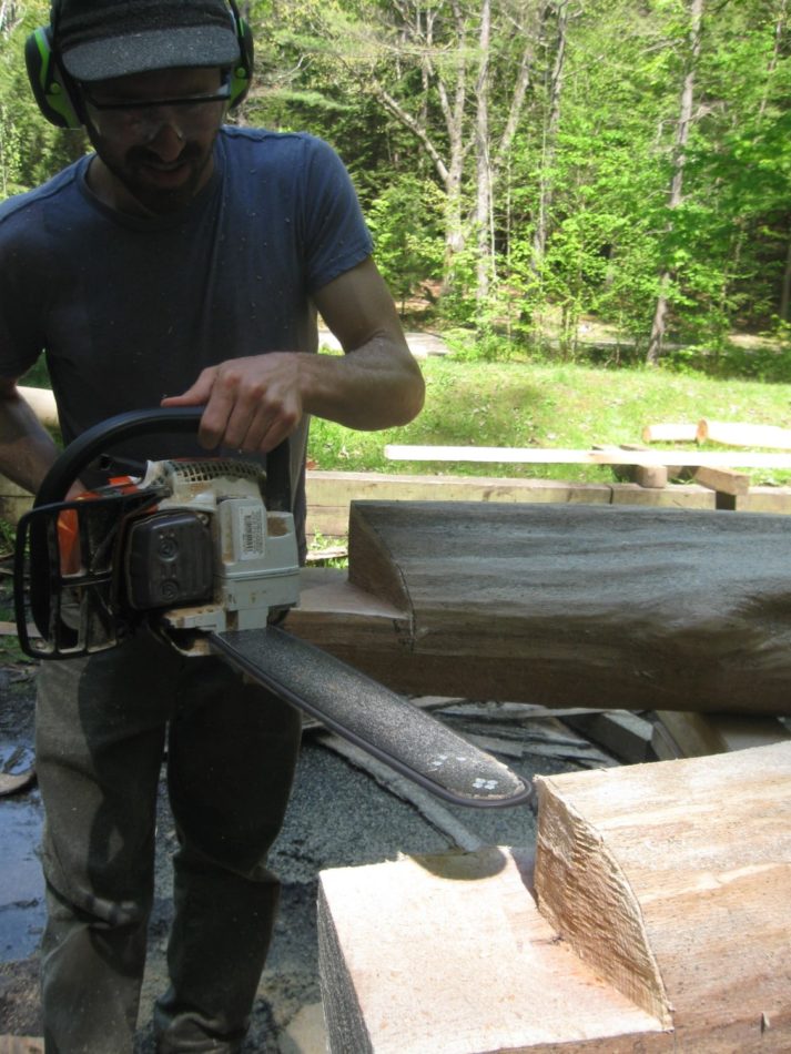 A timber is rough cut with a chainsaw in Hubbard Park