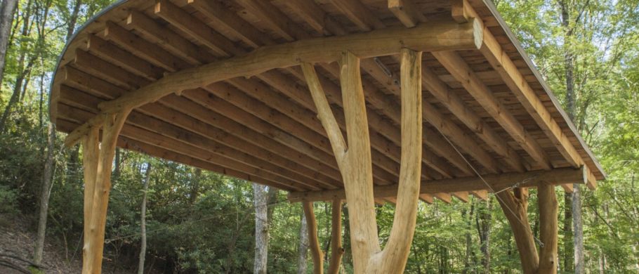 four forked trees hold up a fanned out roof in an amphitheater in north carolina