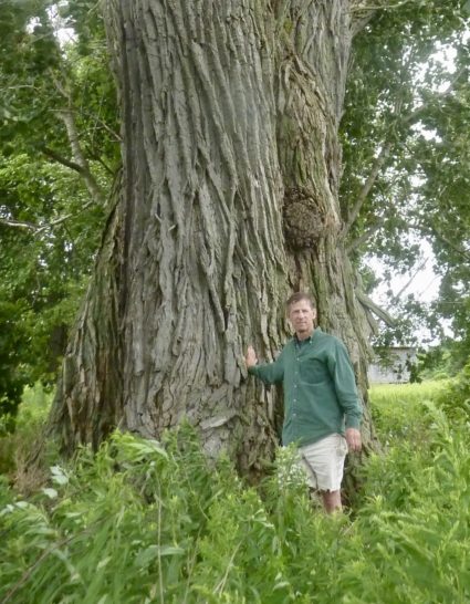 Andy Kimball standing in front of a giant tree