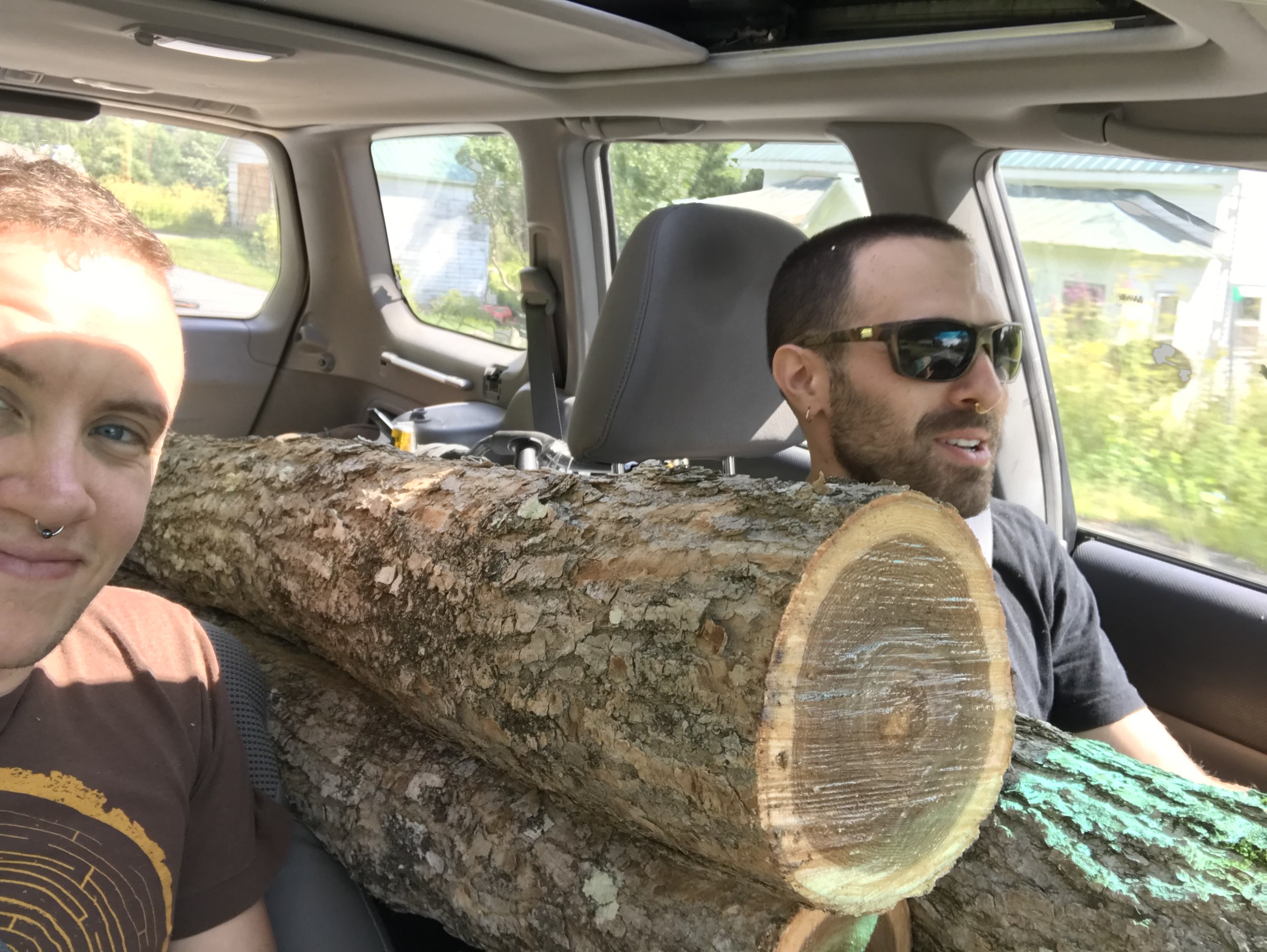 Transporting Black Ash Logs