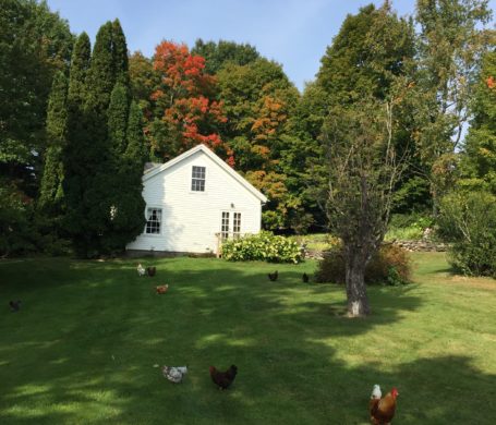 Classic Farmhouse on an old Homestead