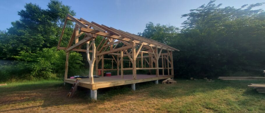 The finished timber frame. Rough sawn, sunlit, and so beautiful