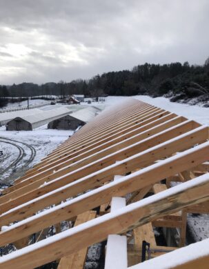 snow cvers the pine rafters and purlin plates of the timber frame barn
