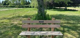 locust bench at the quail hill farm