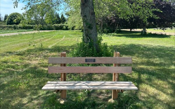 locust bench at the quail hill farm
