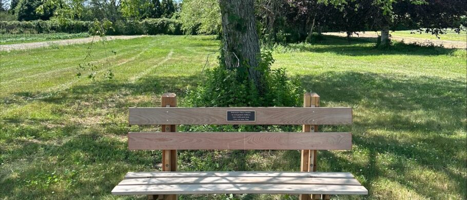 locust bench at the quail hill farm